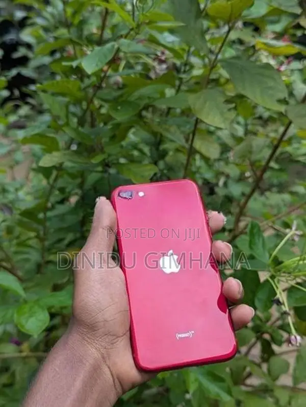 Apple iPhone SE 2 (Used)