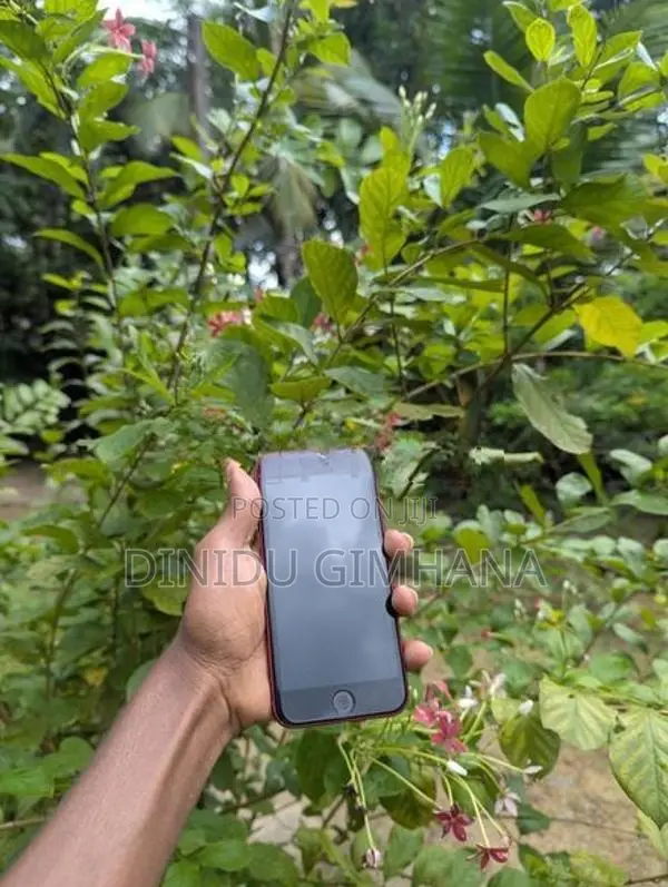 Apple iPhone SE 2 (Used)