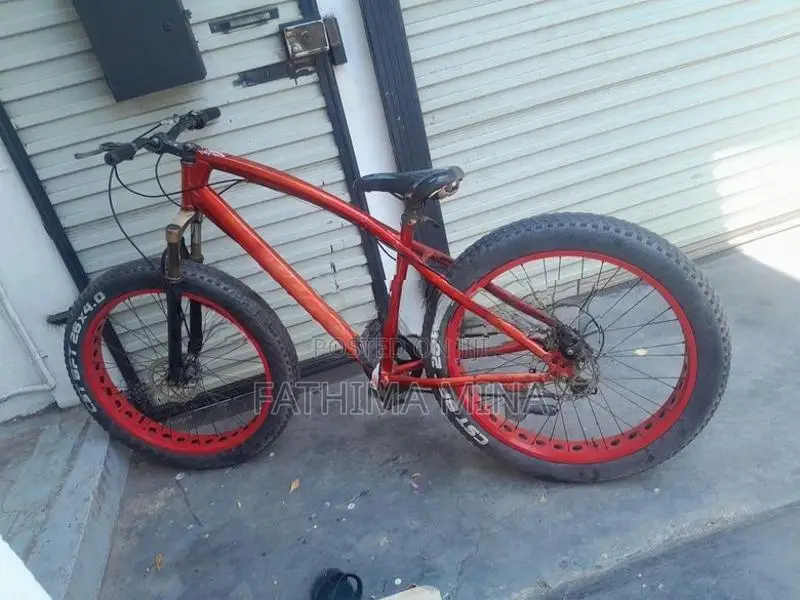 Lumala Jambo Tire Bicycle