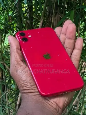 Apple iPhone 11 (Used)