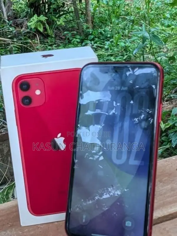 Apple iPhone 11 (Used)