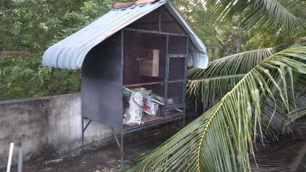 Bird Cage