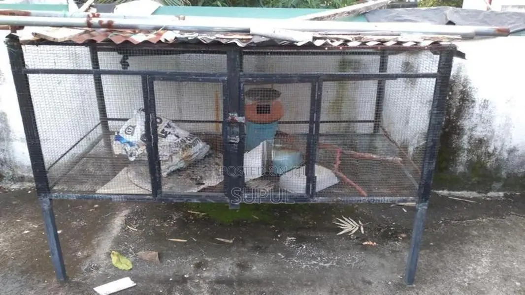 Bird Cage