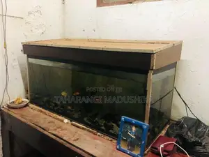Fish Tank with