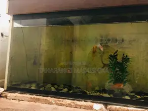 Fish Tank with