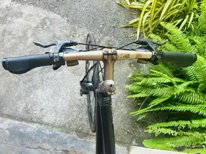 Cannondale Bicycle