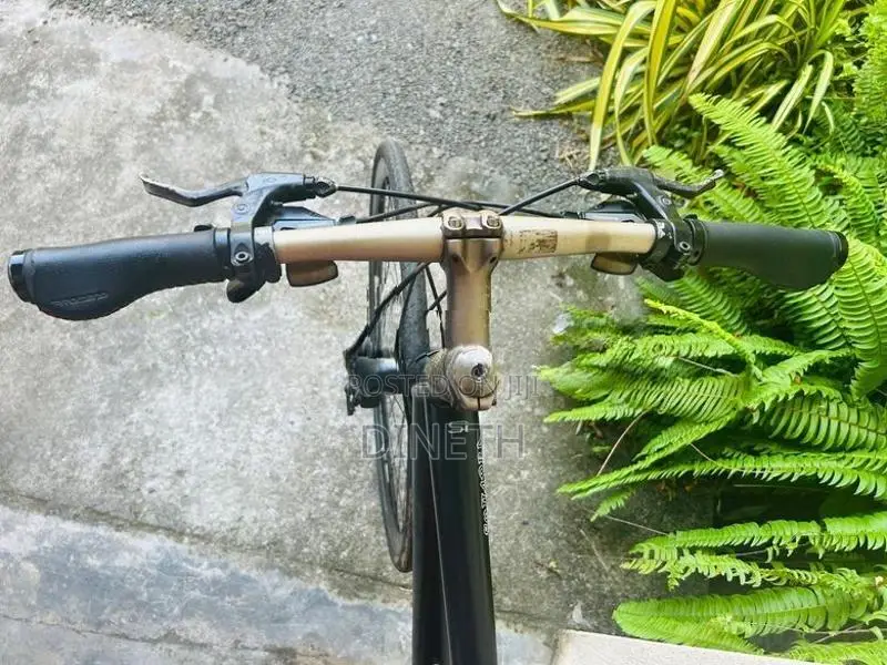 Cannondale Bicycle