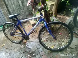 Bicycle 26" Kenton