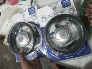 Gas Regulator