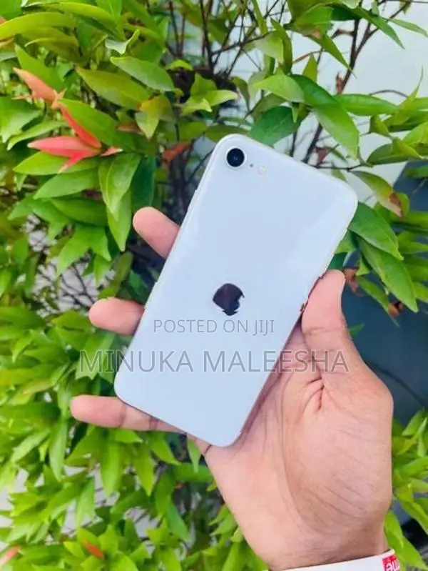 Apple iPhone SE 2 (Used)