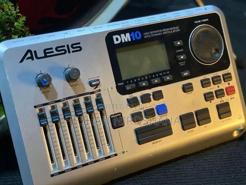ALESIS DM-10 Drum Module