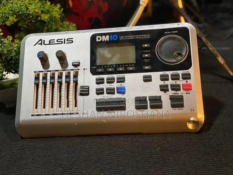 ALESIS DM-10 Drum Module