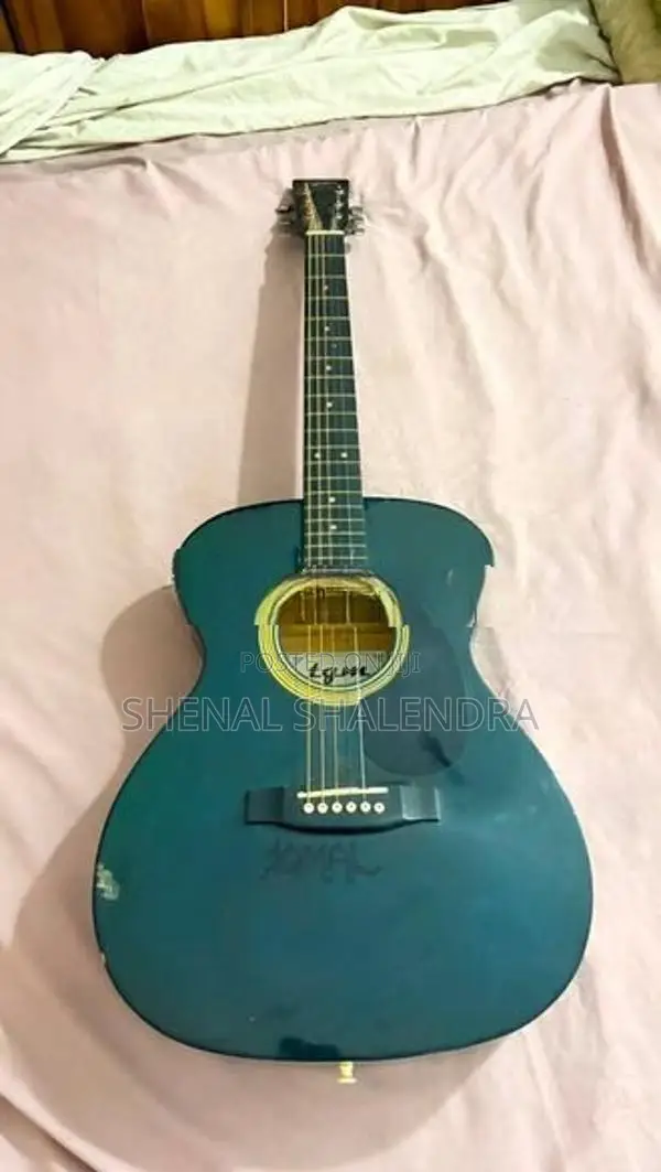 TGM Guitar