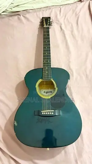TGM Guitar
