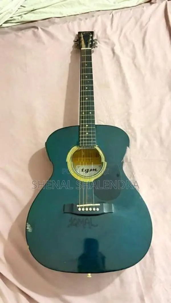 TGM Guitar