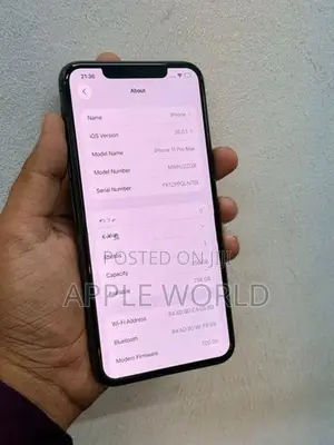 Apple iPhone 11 Pro Max 256GB (Used)