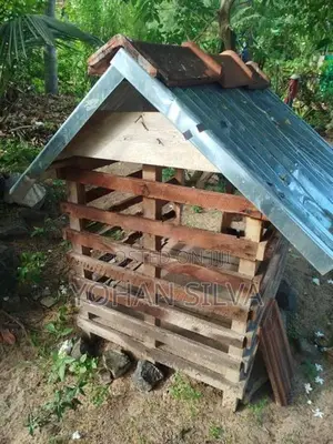 Dog Cages