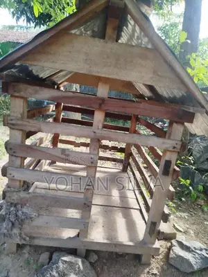 Dog Cages