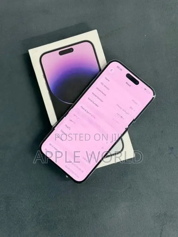 Apple iPhone 14 Pro Max 256GB (Used)