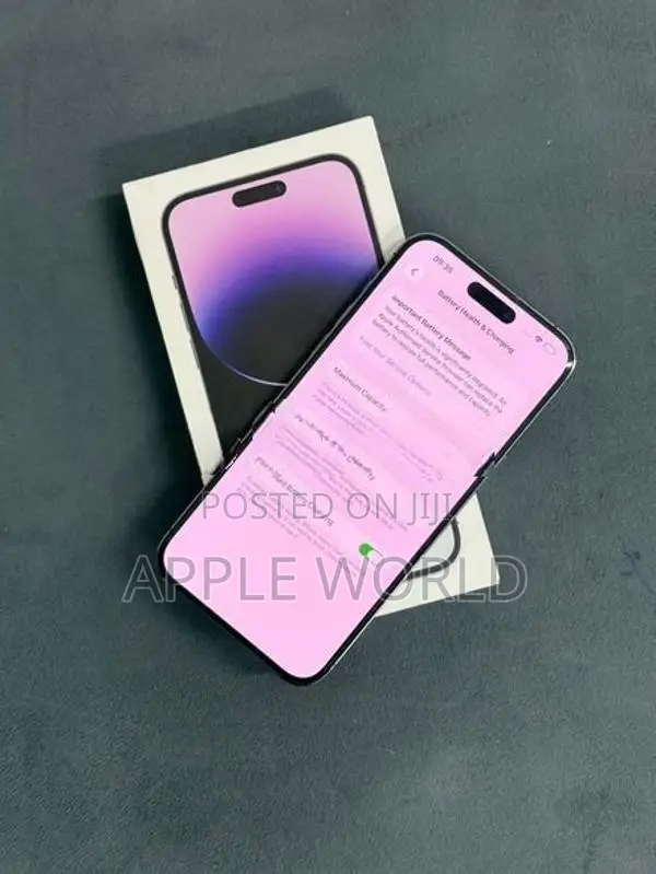 Apple iPhone 14 Pro Max 256GB (Used)
