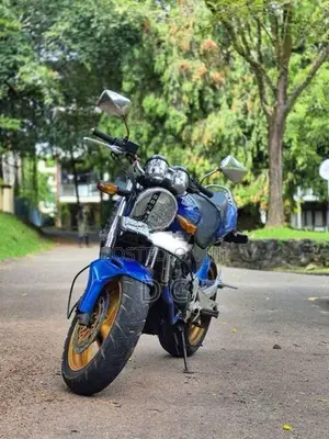 Honda Hornet 2009