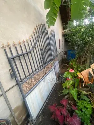 Iron Gate