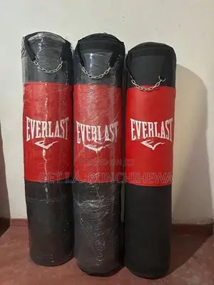 Everlast Punching Bag (45kg)