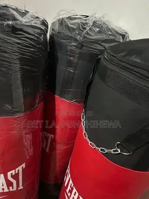 Everlast Punching Bag (45kg)