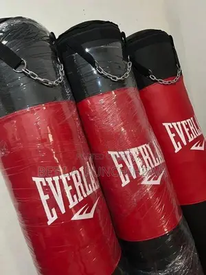 Everlast Punching Bag (45kg)