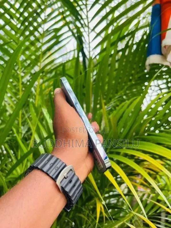 Apple iPhone 13 Pro (Used)