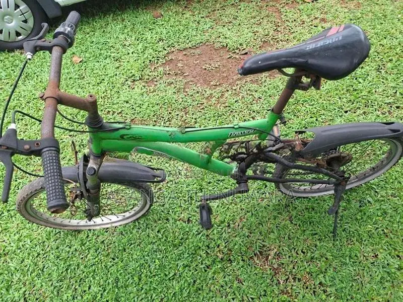 DSI Dual suspension gear Bicycle