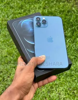 Apple iPhone 12 Pro Max 256 GB (Used)
