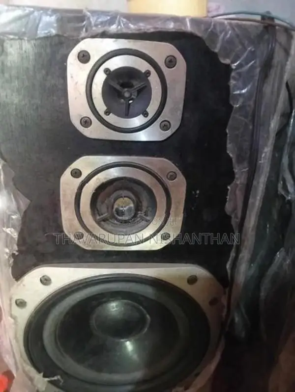 Pioneer Speaker