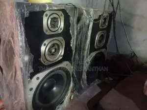 Pioneer Speaker