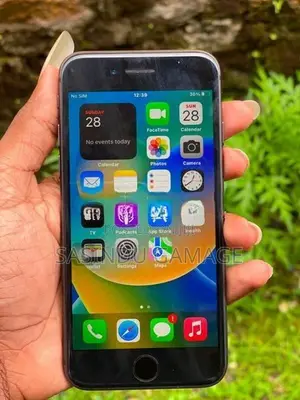 Apple iPhone 8 (Used)