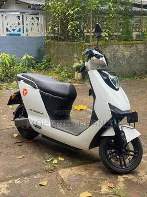 Yadea Electric 2023