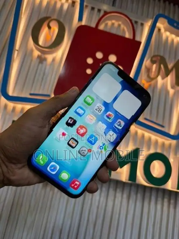 Apple iPhone 12 Pro Max 256GB (Used)