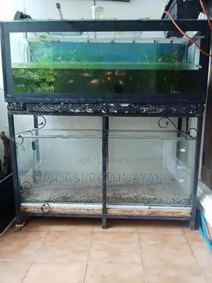 Fish Tank