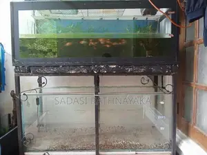 Fish Tank