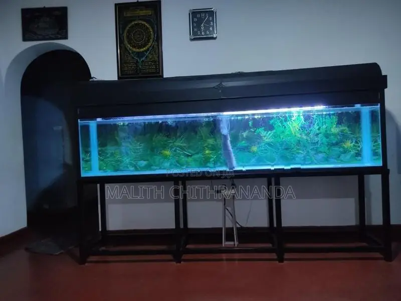 Fish Tank