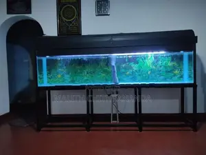 Fish Tank