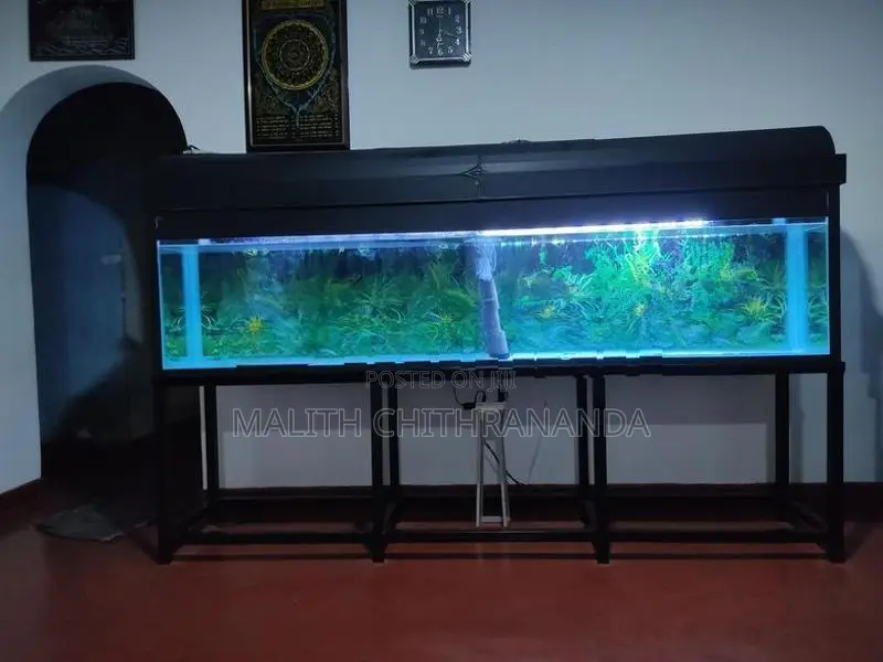 Fish Tank