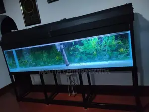 Fish Tank