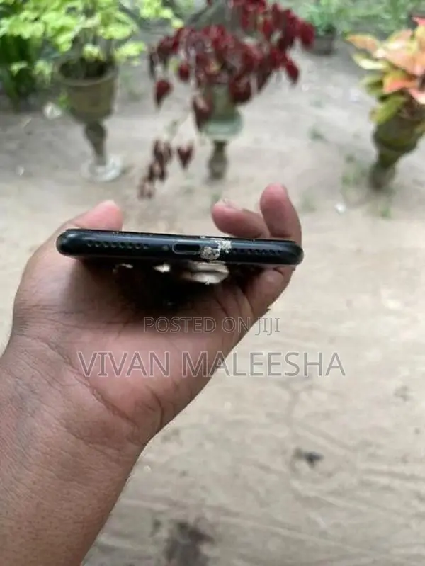 Apple iPhone 7 Plus (Used)