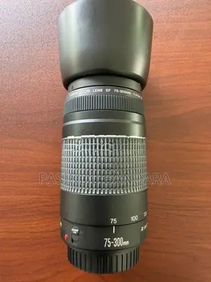 Canon 75-300mm lens