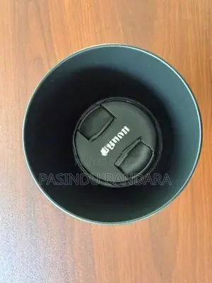 Canon 75-300mm lens