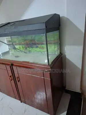4 feet fish tank