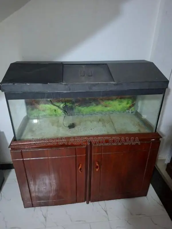 4 feet fish tank