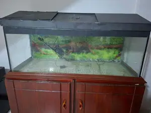 4 feet fish tank