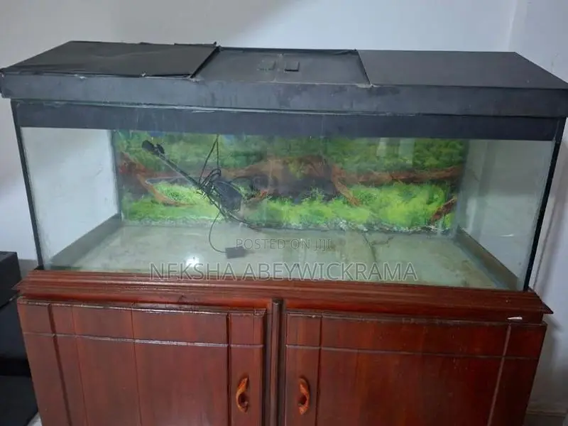 4 feet fish tank